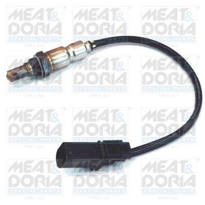 Oxygen Sensor